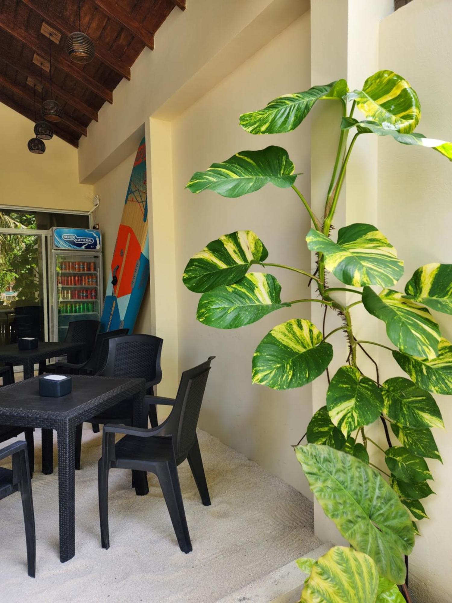 ホテル Dhigurah Dhonveli Boutique エクステリア 写真